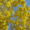 April 2025 Newsletter